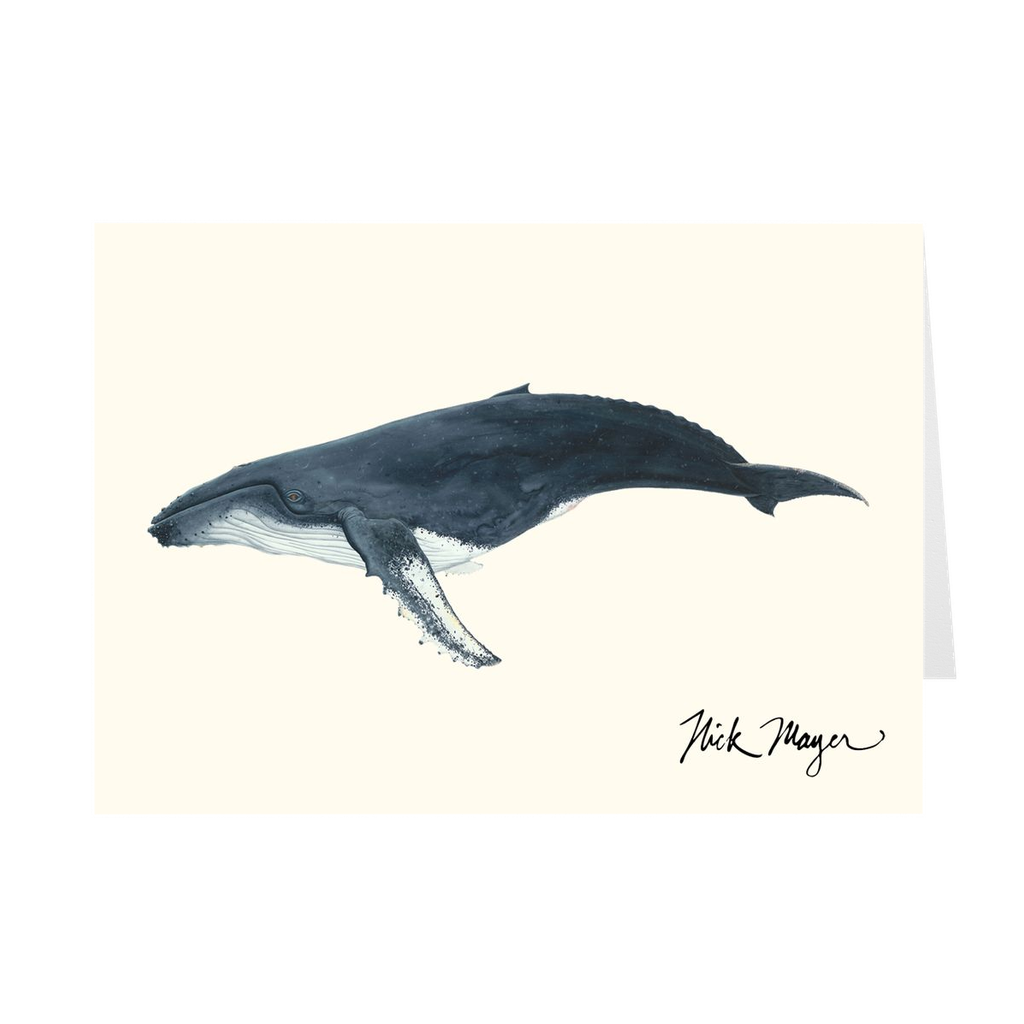 Humpback Whale Notecards