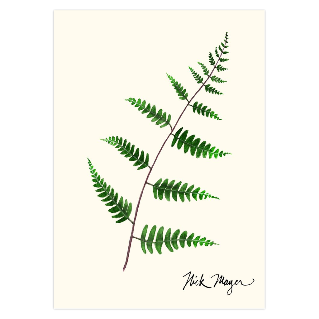 Goldie's Wood Fern Notecards