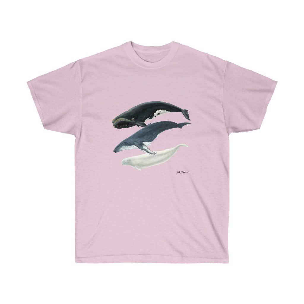 3 Whales Cotton Tee