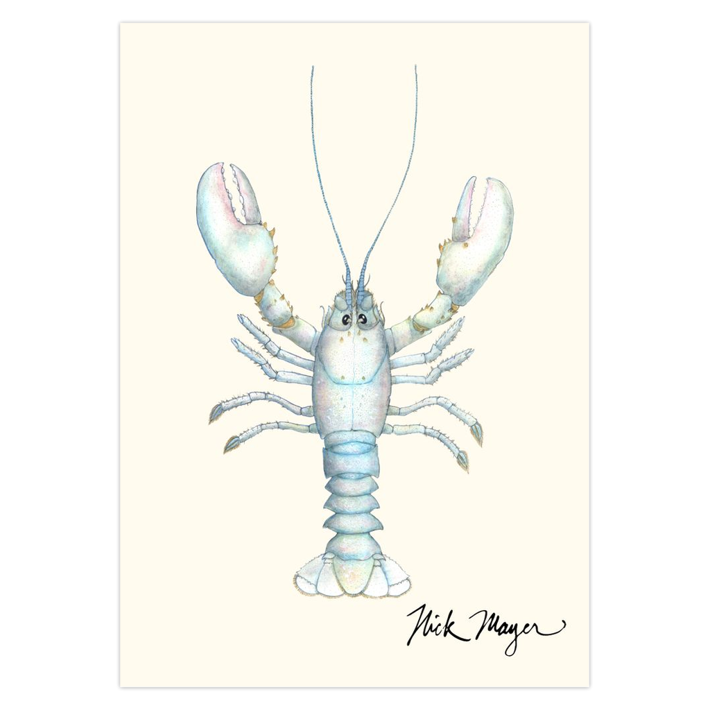 Albino Lobster Notecards