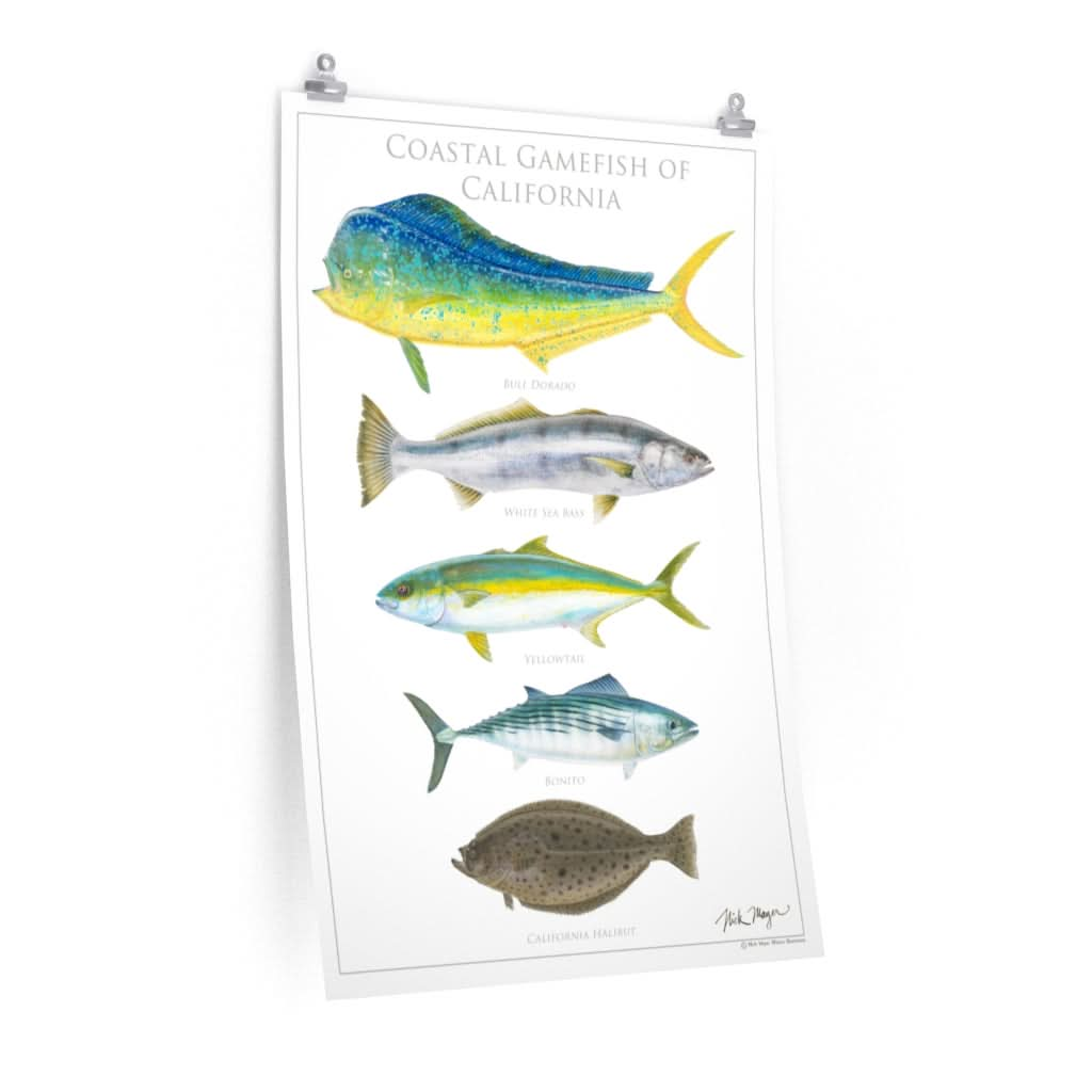 Coastal Gamefish of California Poster