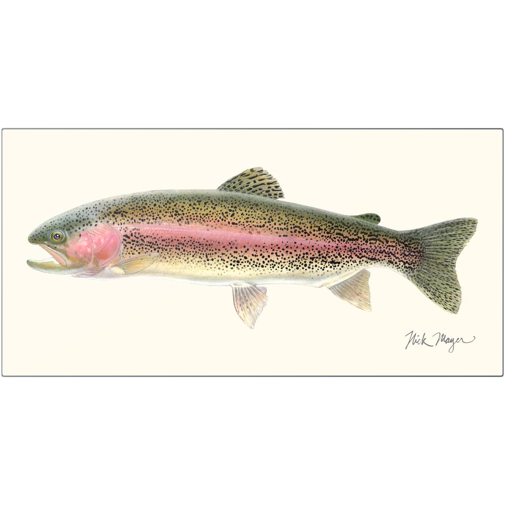 Rainbow Trout Metal Print, NEW!
