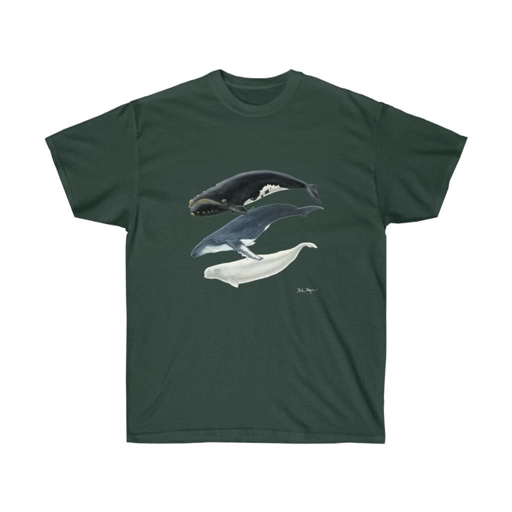 3 Whales Cotton Tee