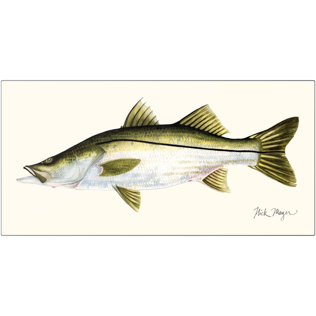 Snook Metal Print, NEW!