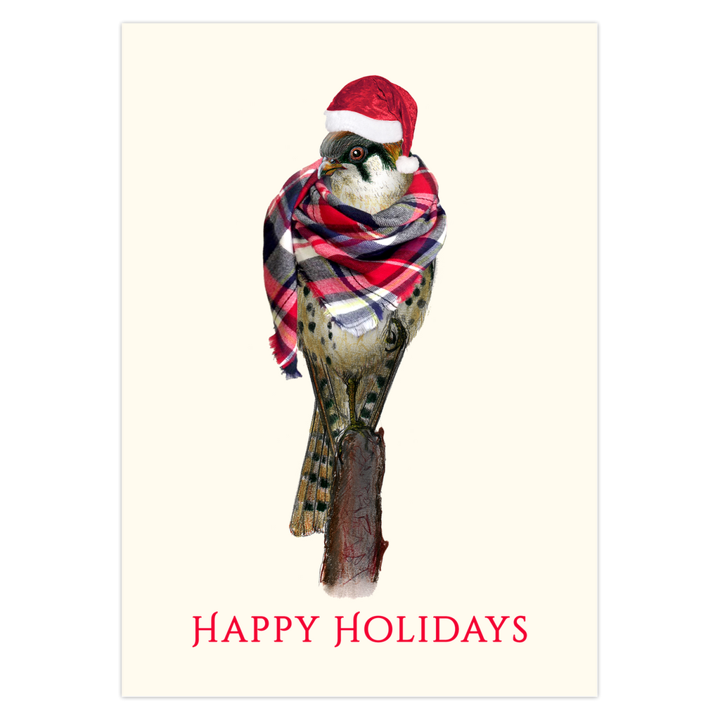 Bundled Up Kestrel Holiday Cards