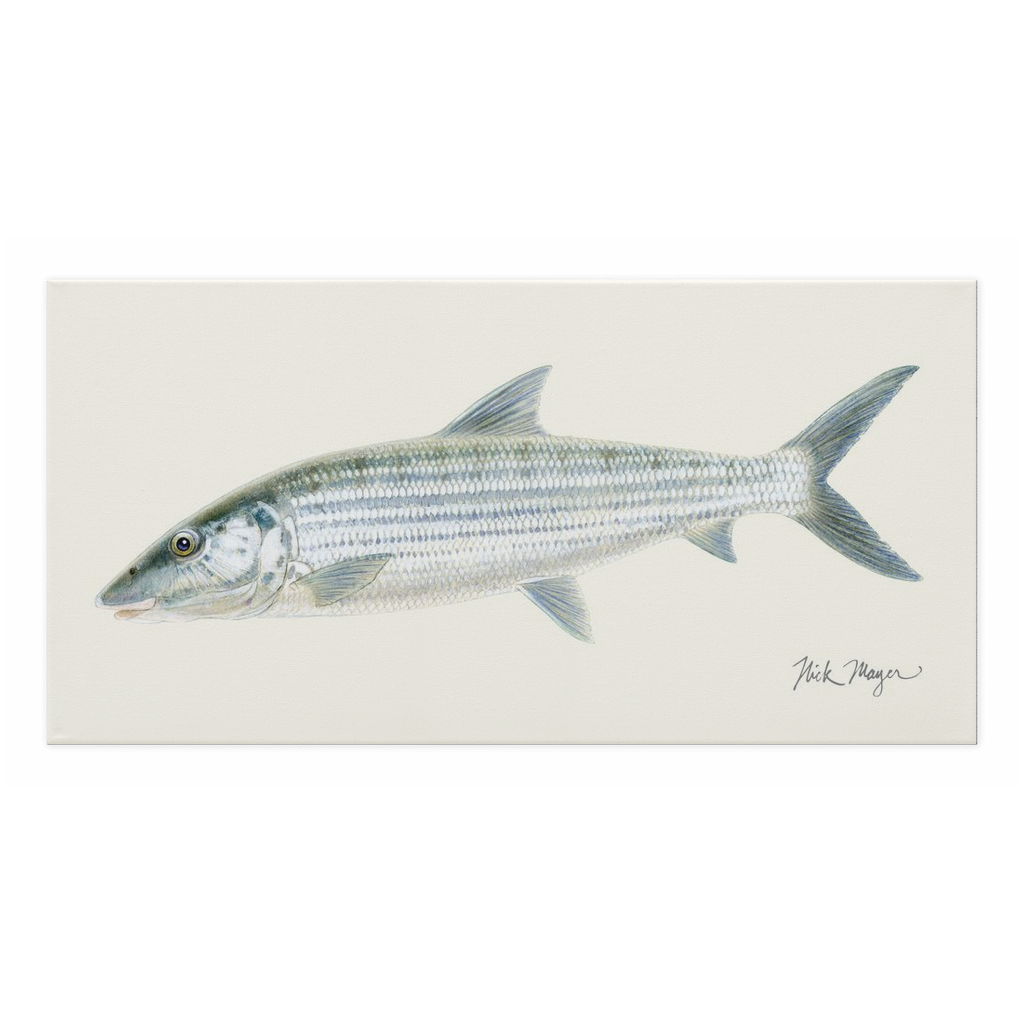 Bonefish Canvas Wrap