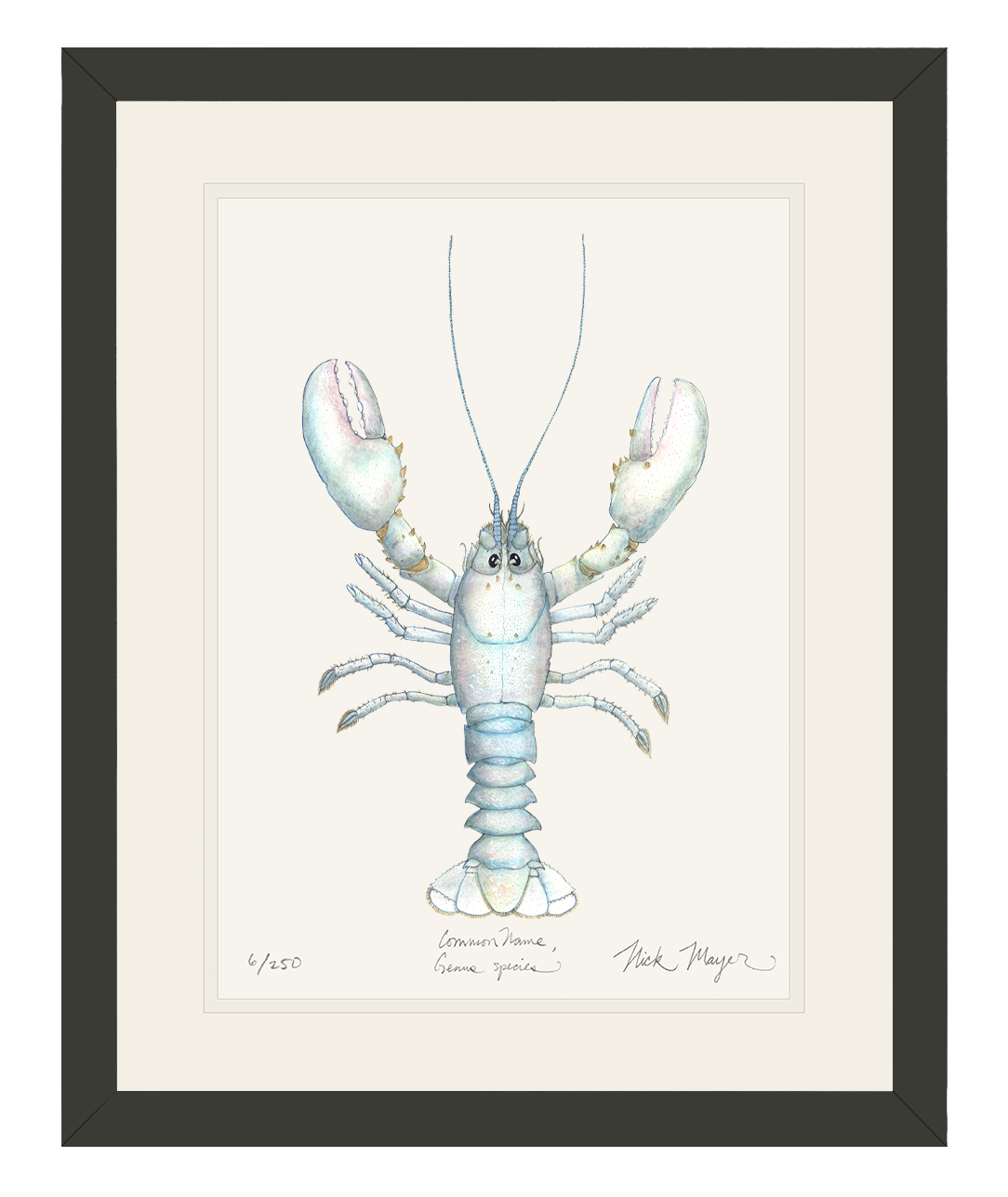 Albino Lobster Limited Edition Print