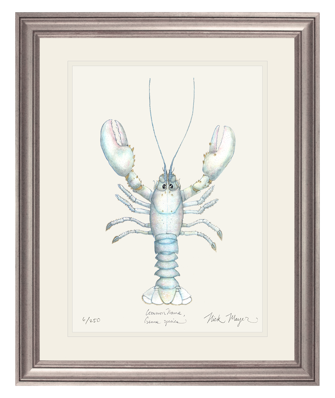 Albino Lobster Limited Edition Print