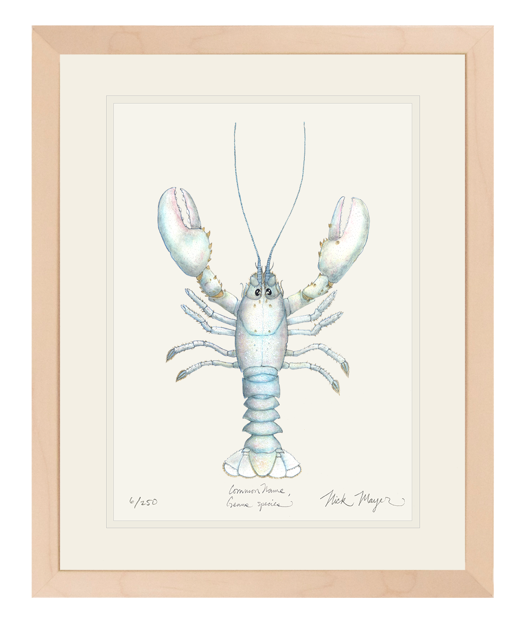 Albino Lobster Limited Edition Print