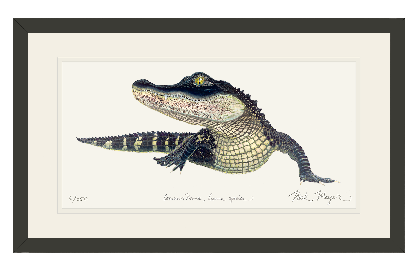 alligator art print