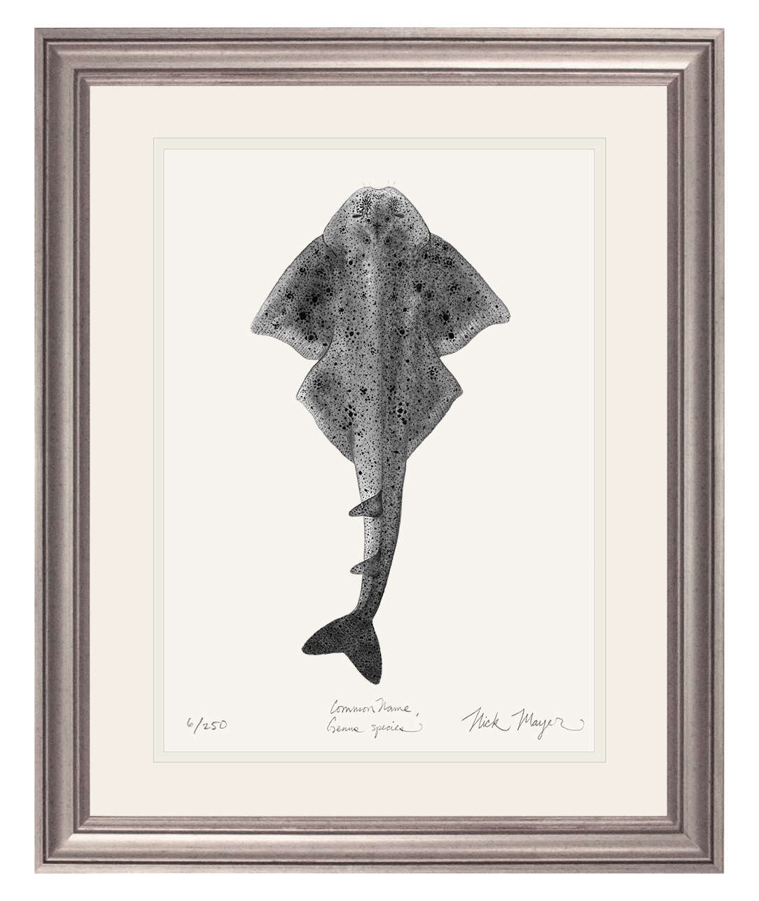 Angel Shark Limited Edition Print (b&w)