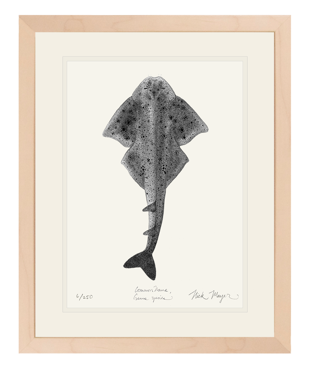 Angel Shark Limited Edition Print (b&w)