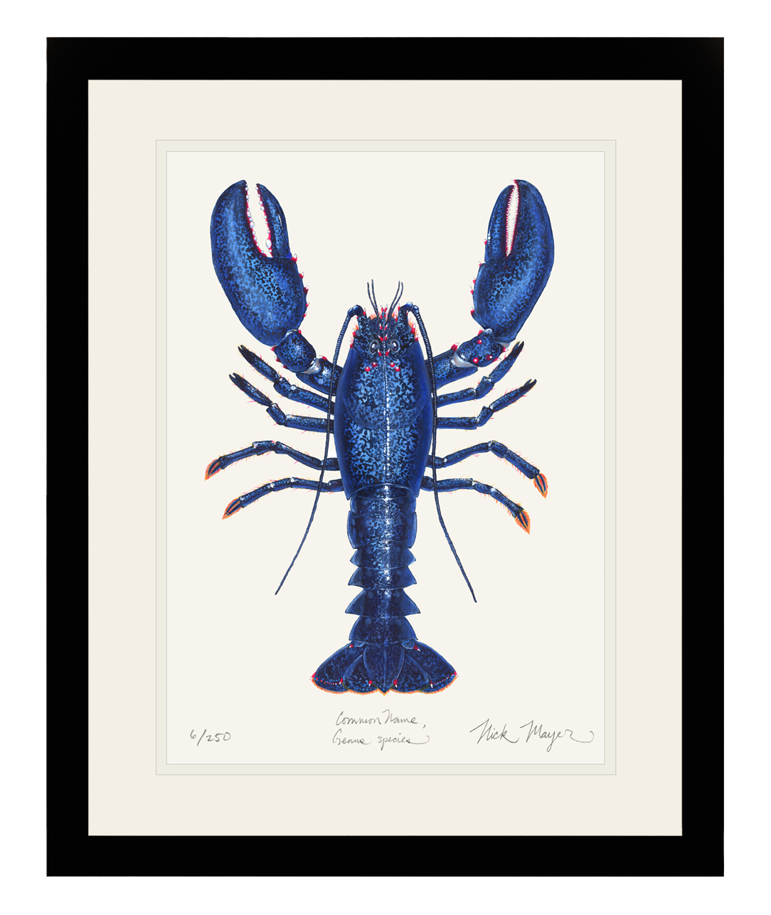 Blue Lobster II Limited Edition Print - Best Seller