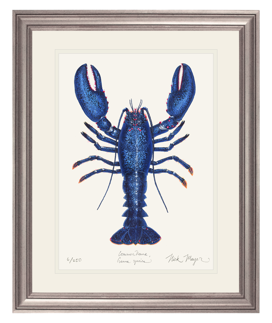 Blue Lobster II Print