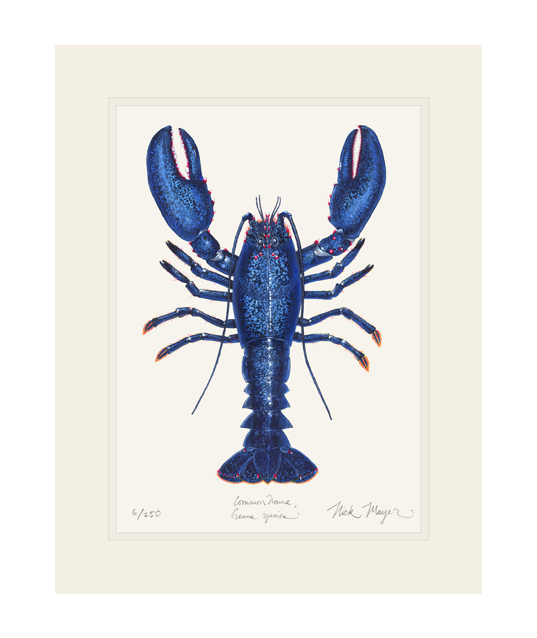 Blue Lobster II Print
