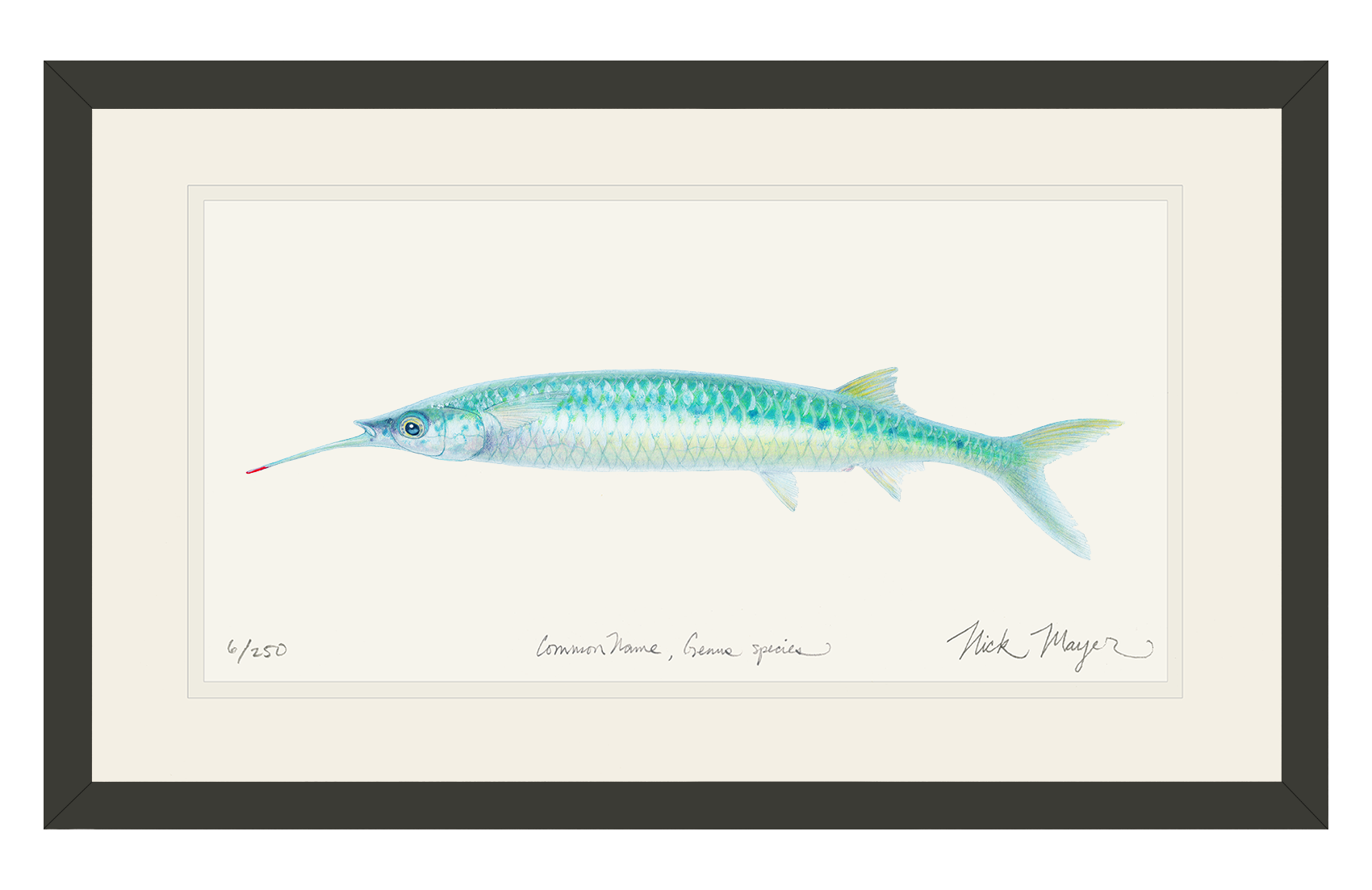 Ballyhoo Print