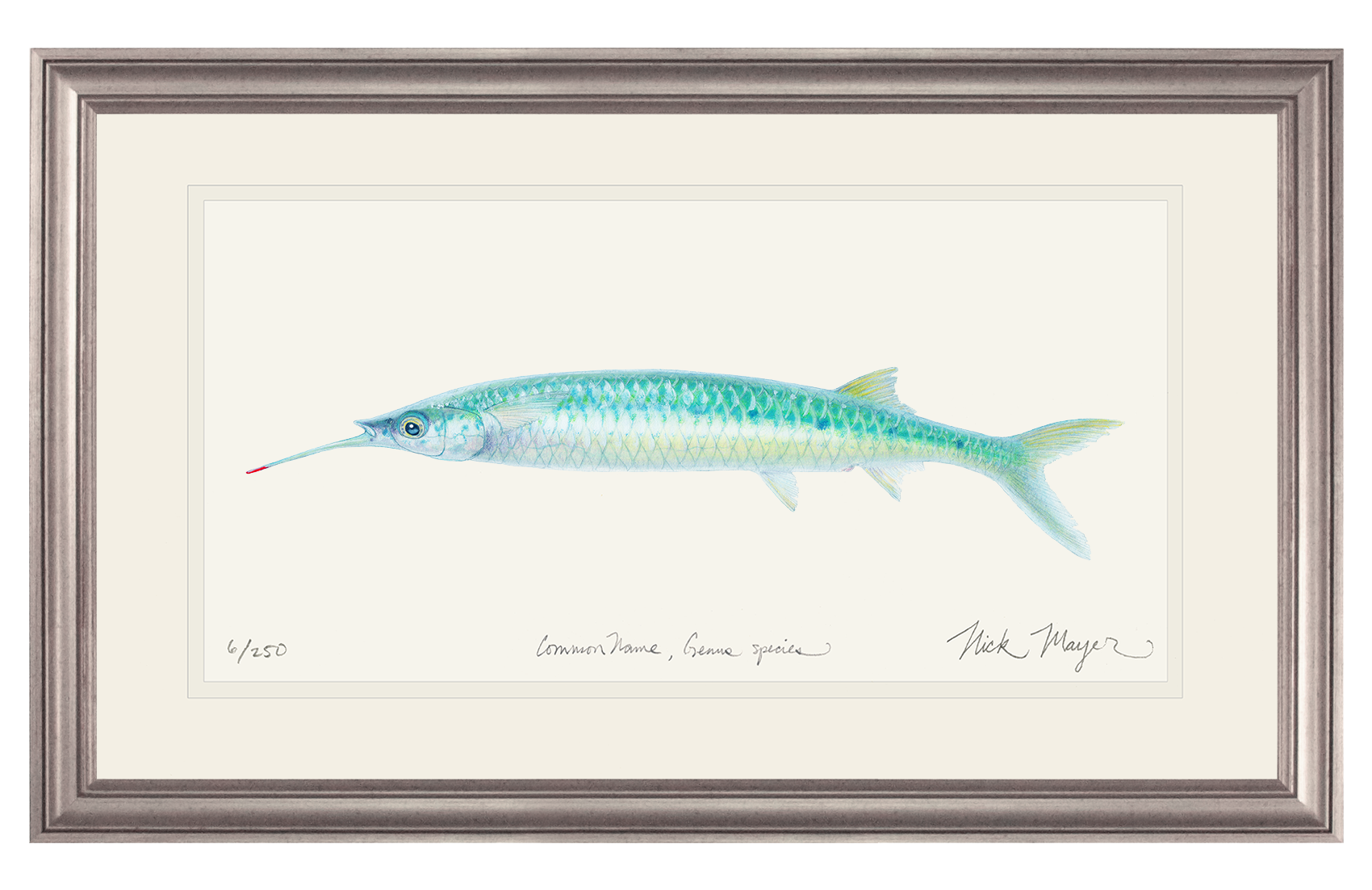 Ballyhoo Print