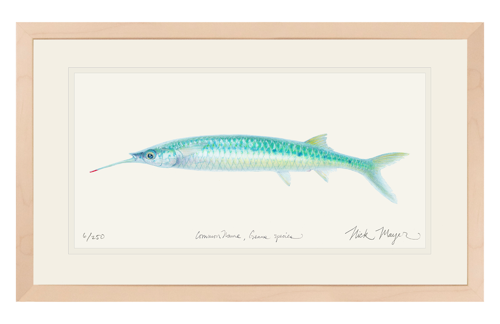 Ballyhoo Print