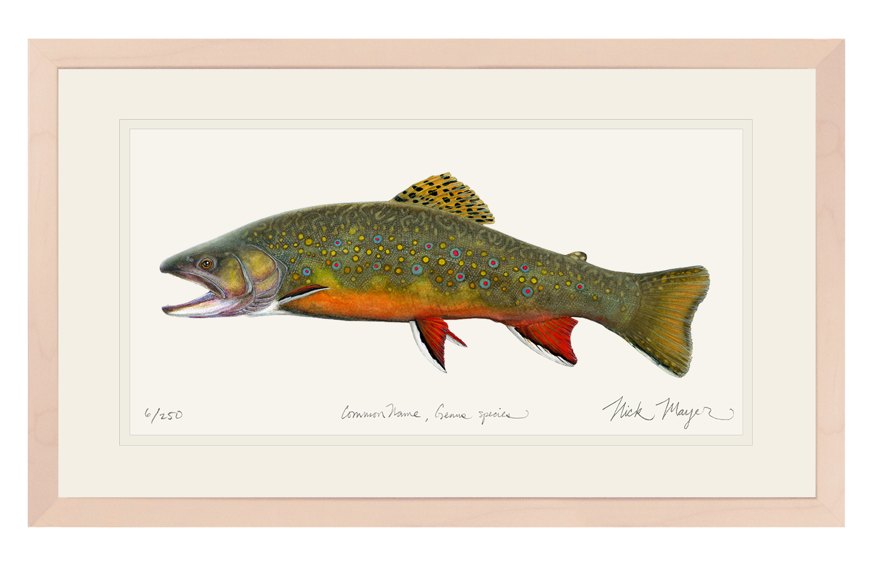 Beaver Pond Brook Trout Limited Edition Print - Best Seller