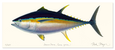 Bigeye Tuna Masterwork Canvas