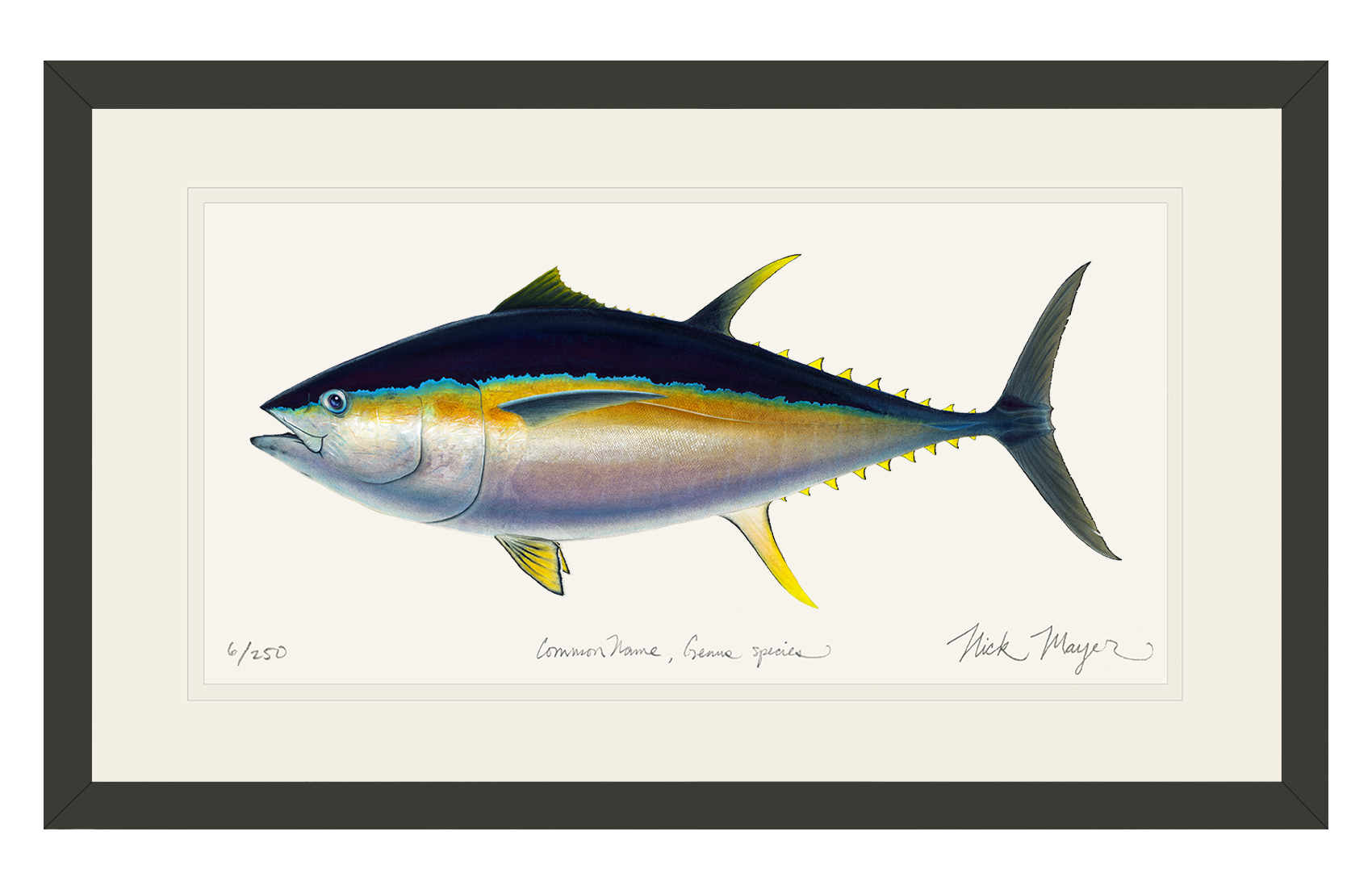Bigeye Tuna Limited Edition Print