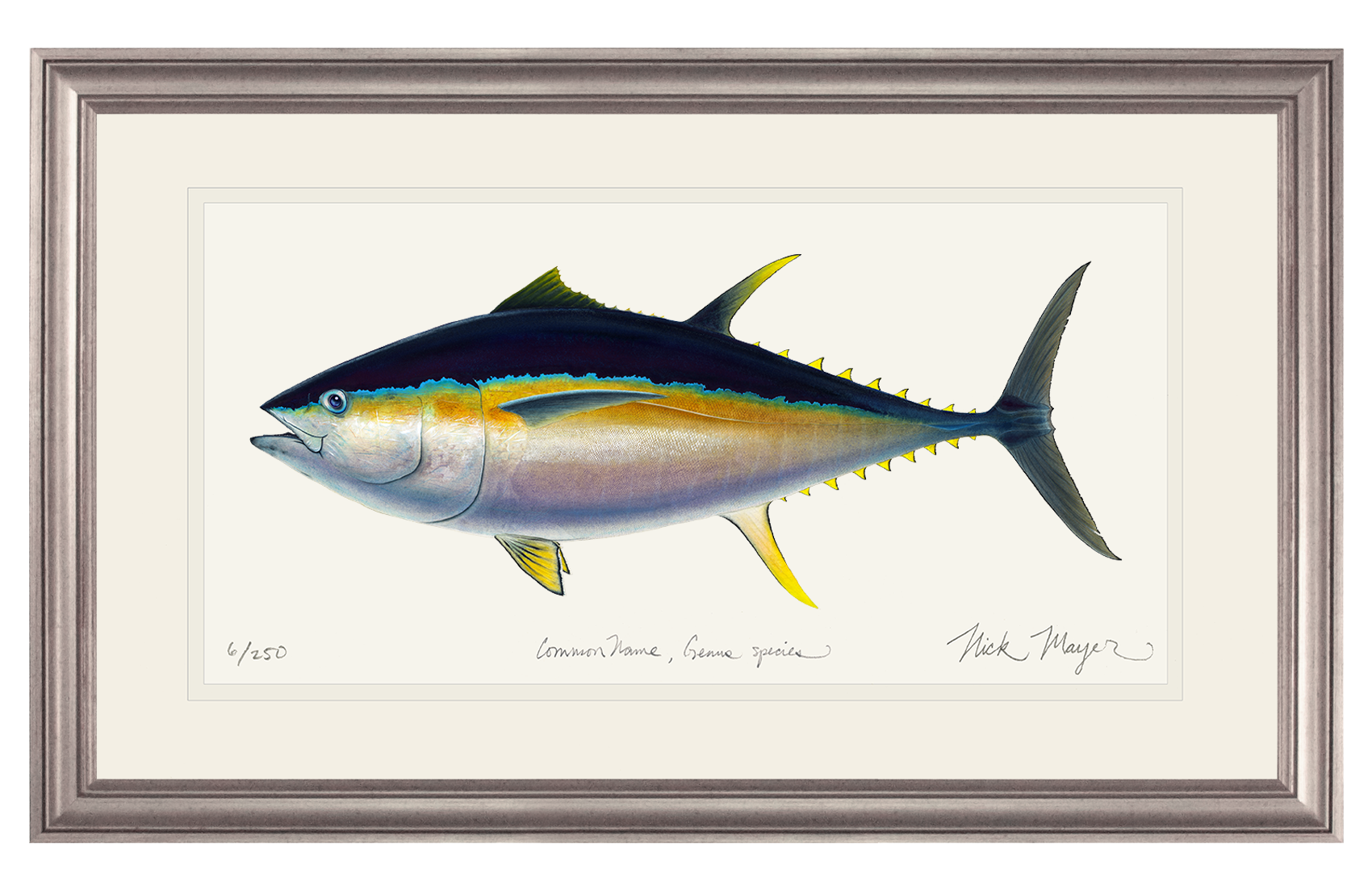 Bigeye Tuna Print