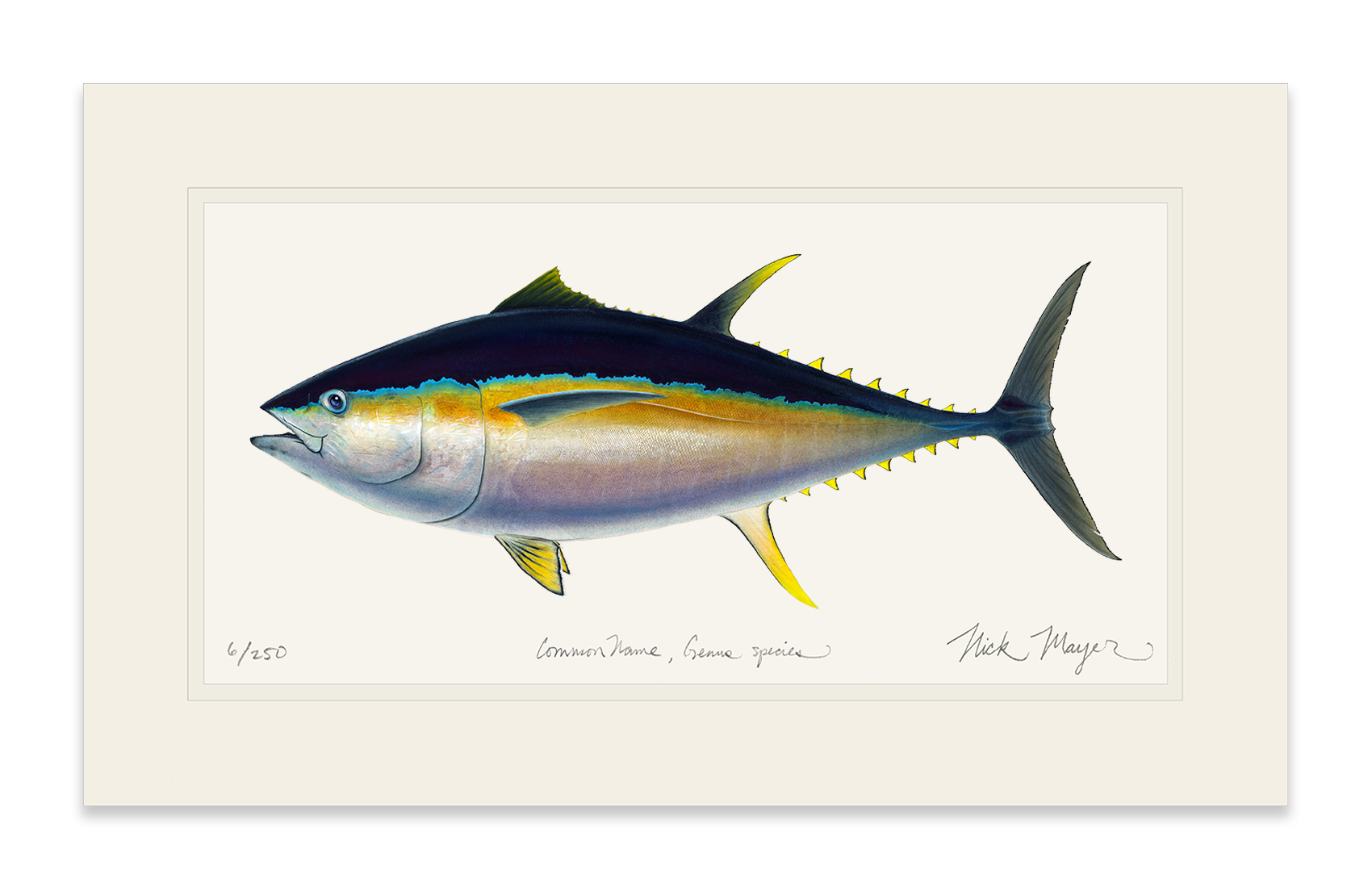 Bigeye Tuna Print