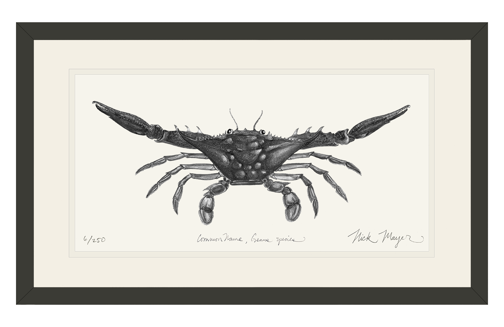 Blue Crab, Claws Out Limited Edition Print (B&W)