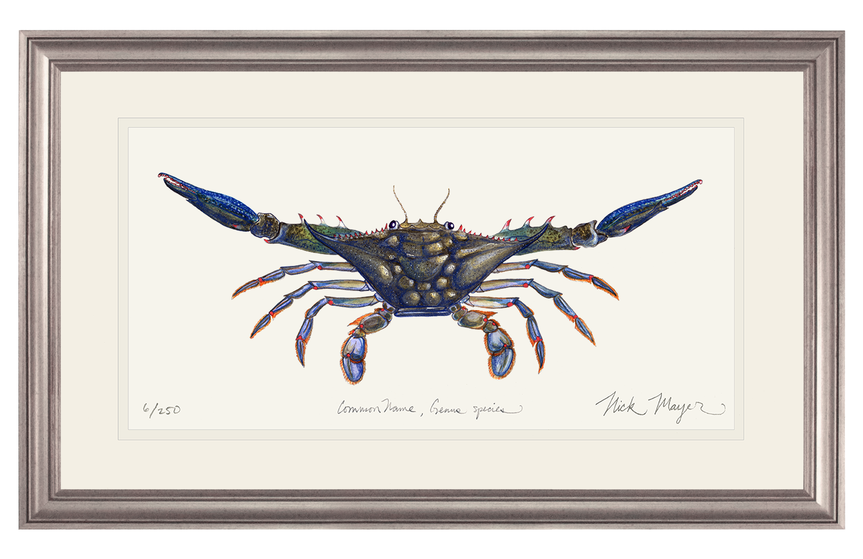 Blue Crab Claws Out Limited Edition Print