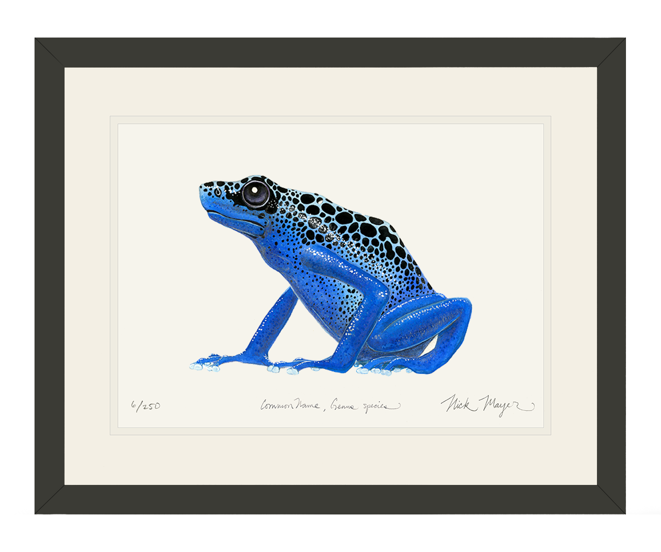 Blue Poison Dart Frog Original Watercolor Painting