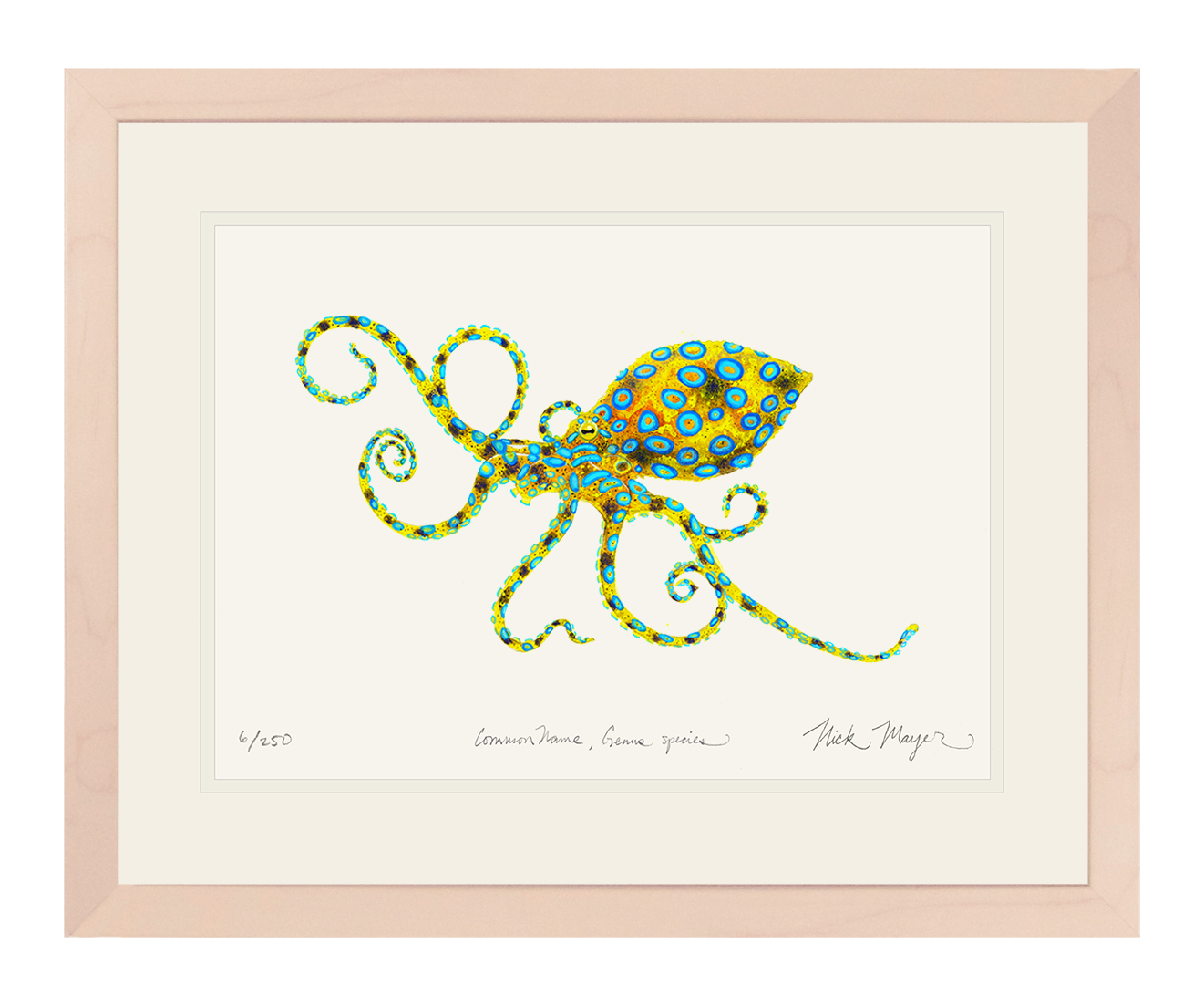 Blue Ringed Octopus Limited Edition Print