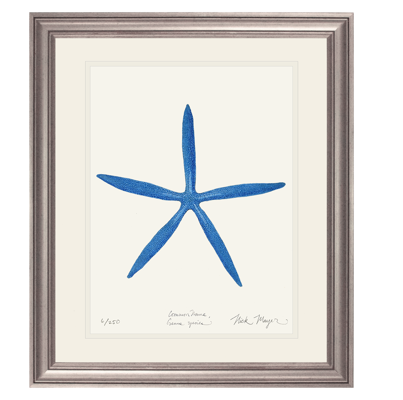 Blue Linckia II Starfish Limited Edition Print