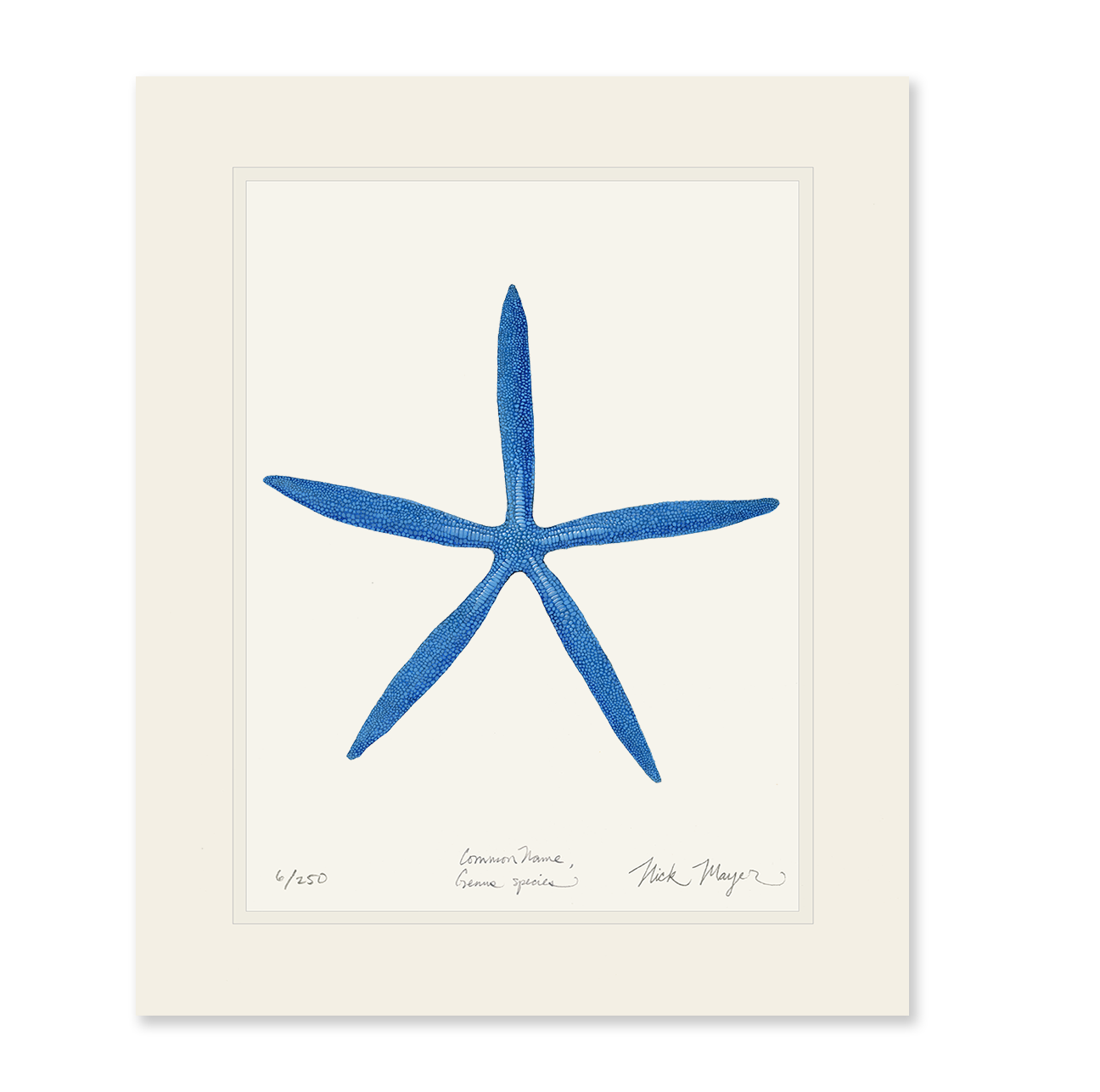 Blue Linckia II Starfish Limited Edition Print