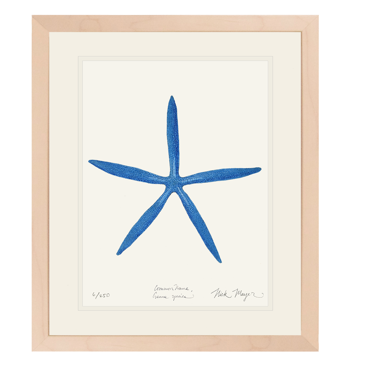 Blue Linckia II Starfish Limited Edition Print