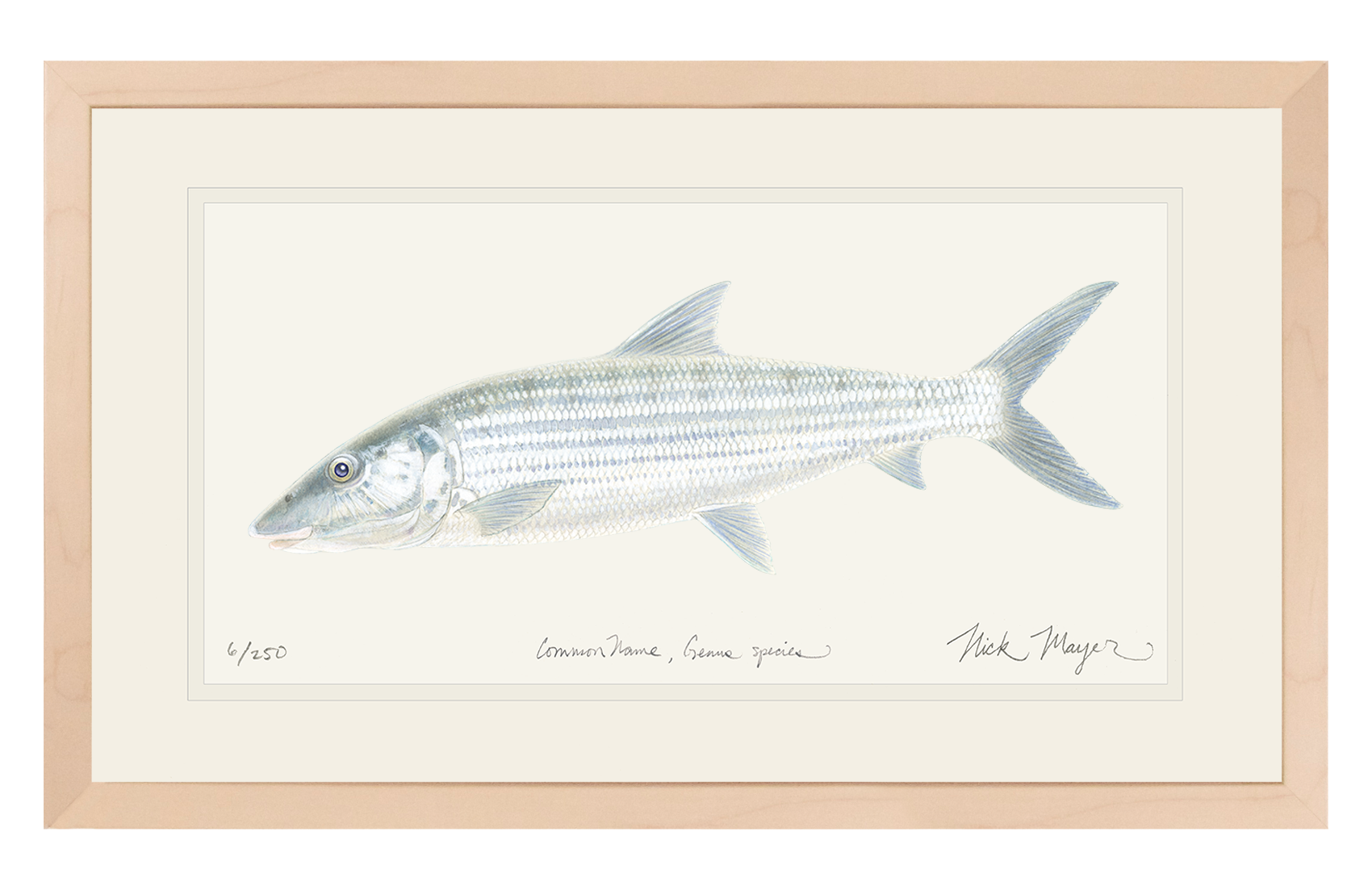 Bonefish Original Watercolor Painting
