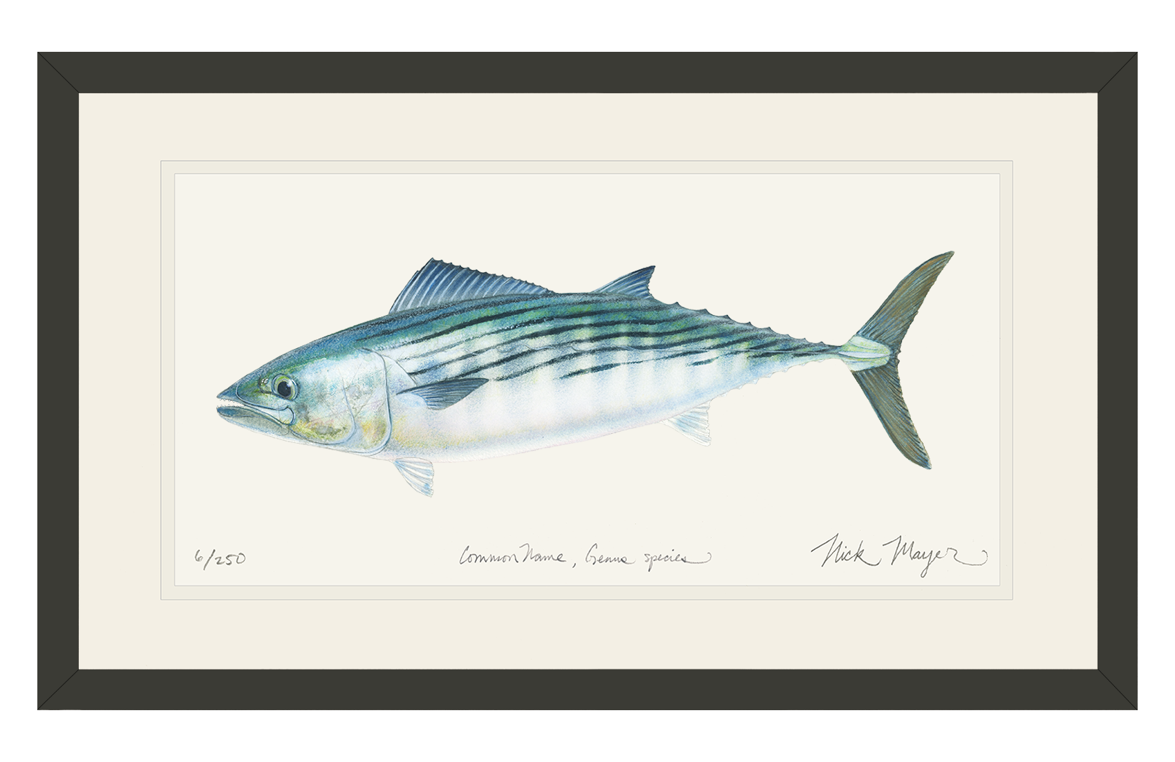 Bonito Limited Edition Print