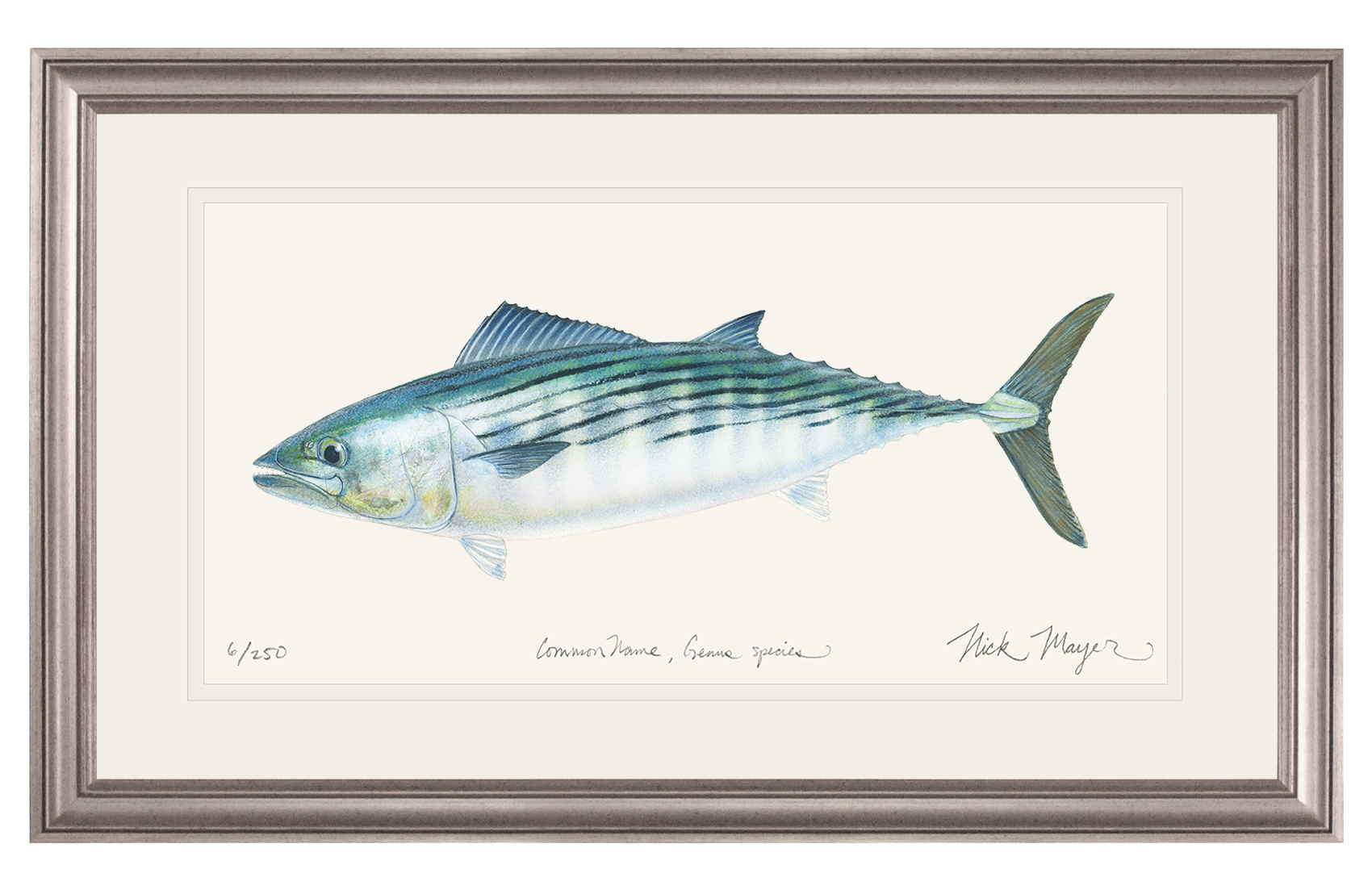 Bonito Limited Edition Print