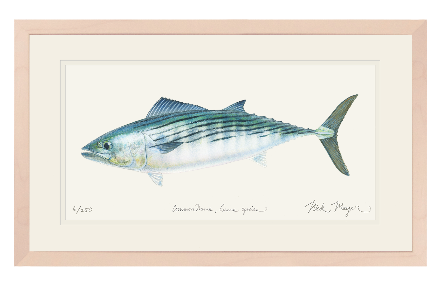 Bonito Limited Edition Print