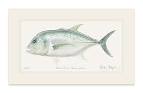 unframed Boss GT fish art print