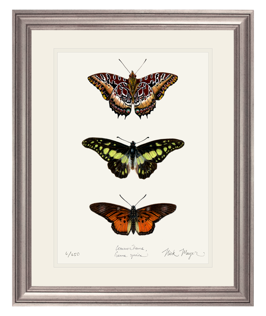 Butterfly Trio Print