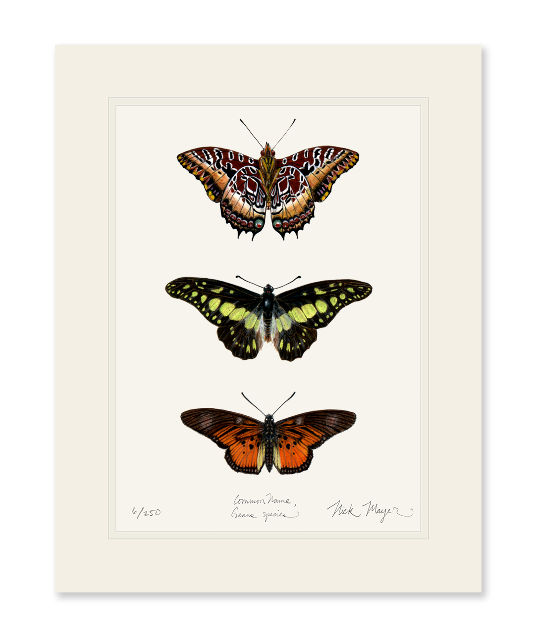 Butterfly Trio Print