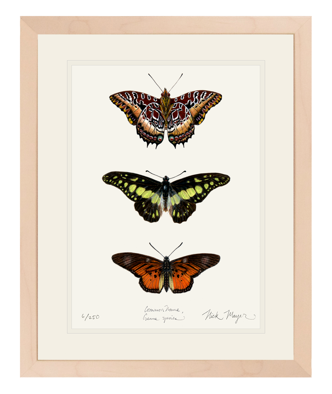 Butterfly Trio Limited Edition Print