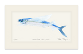 California Flying Fish Print