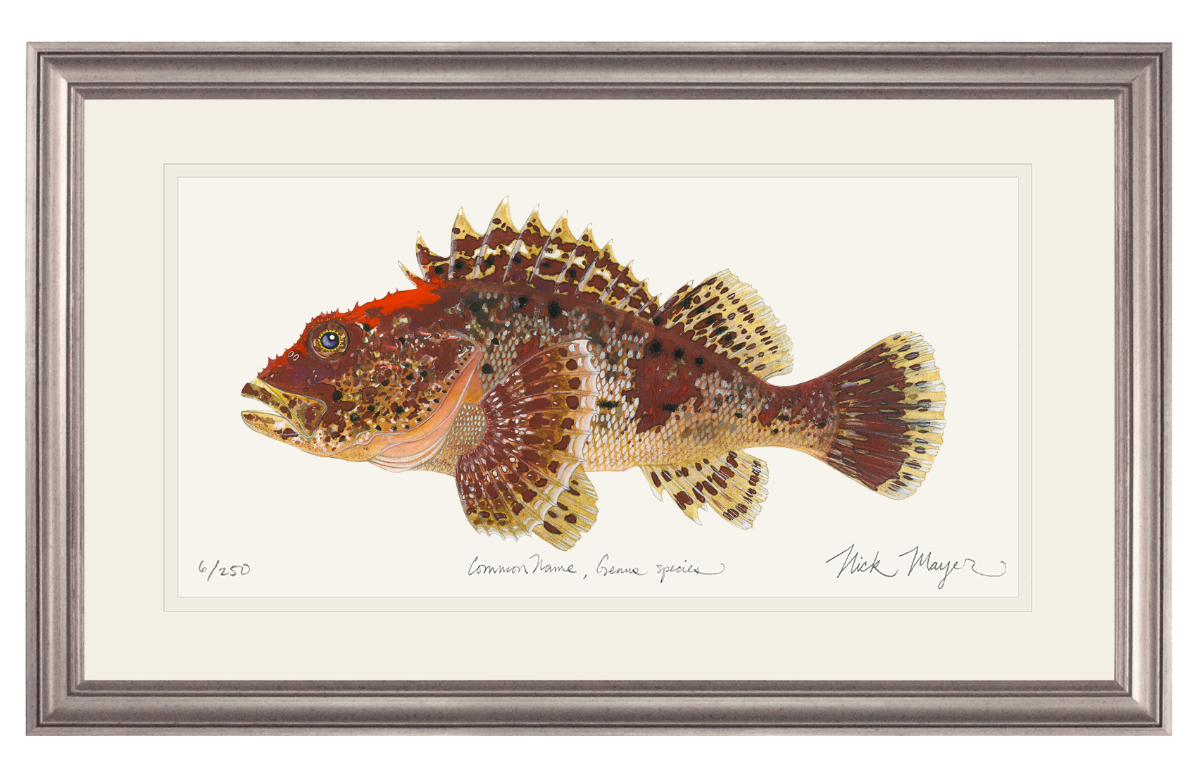 Scorpionfish Limited Edition Print