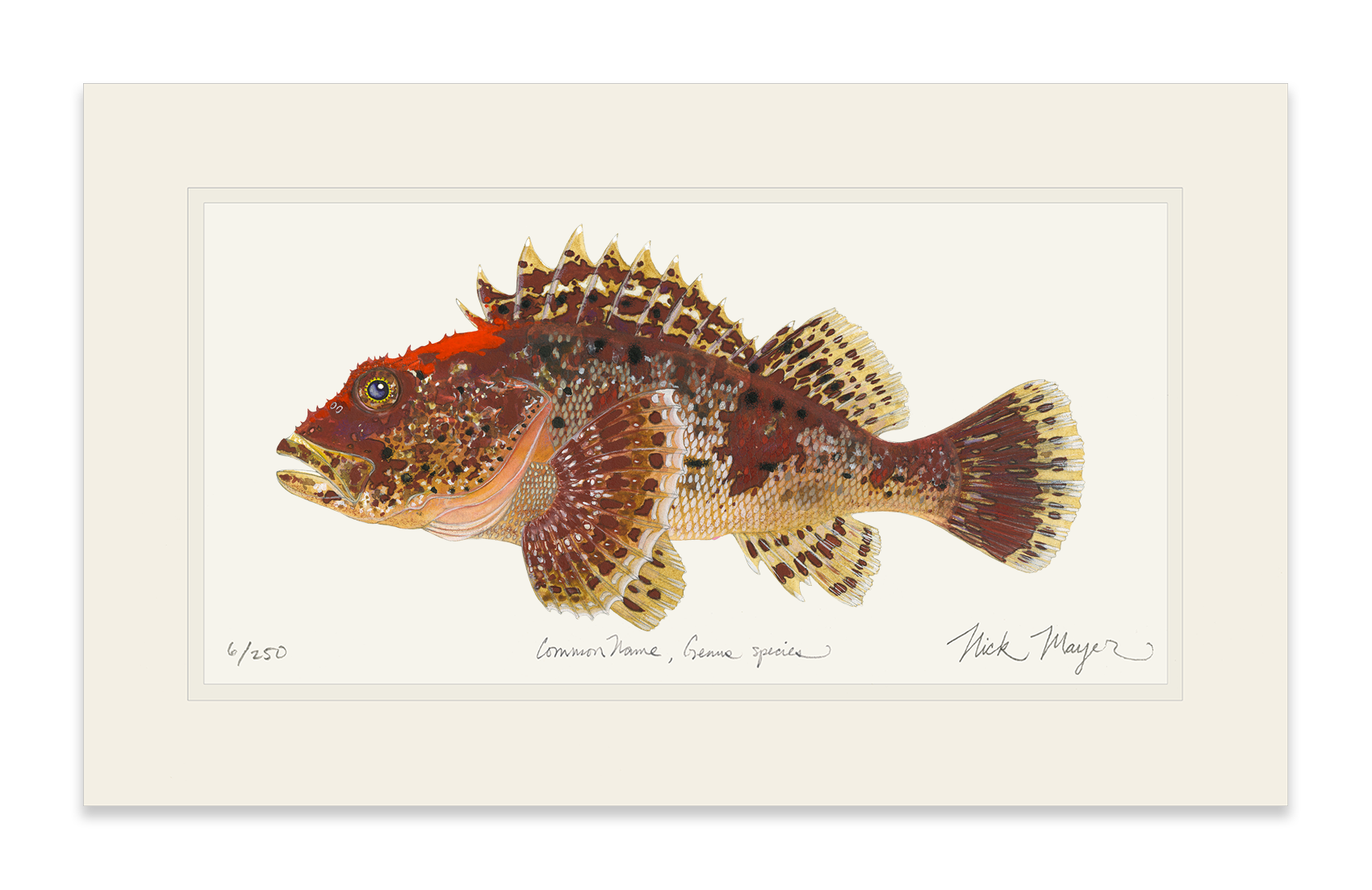Scorpionfish Limited Edition Print
