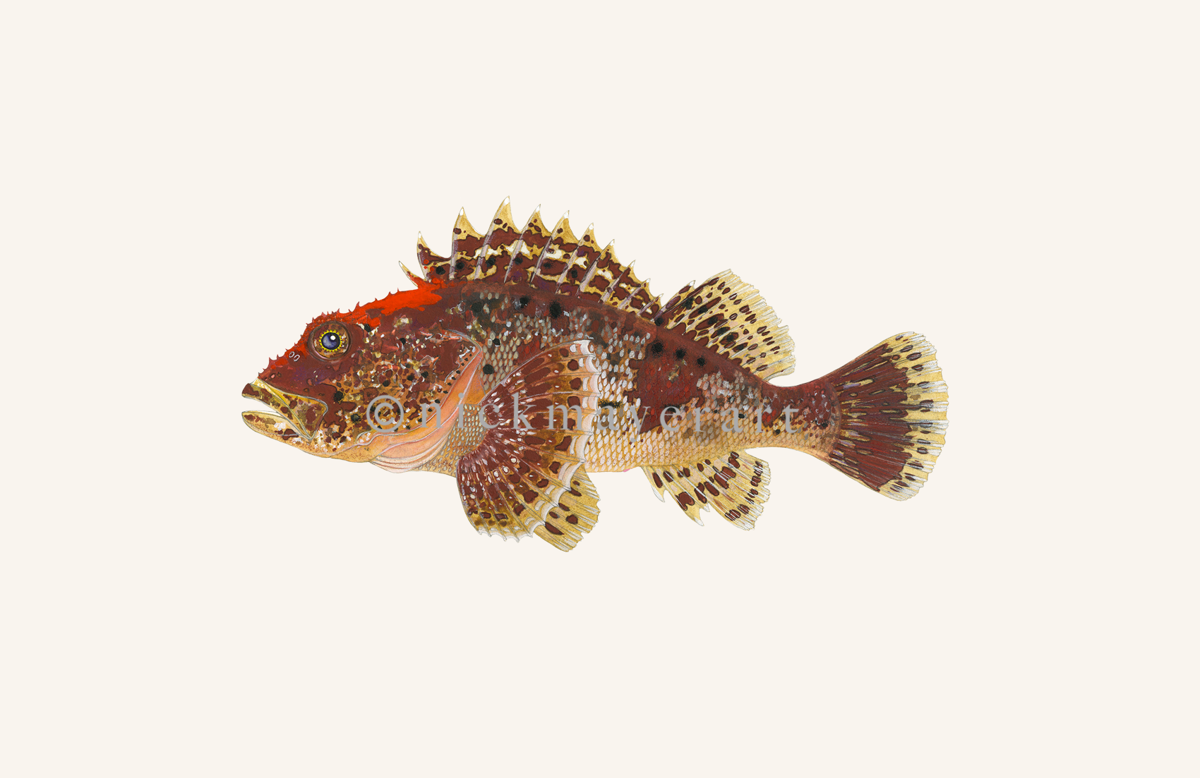 watermark