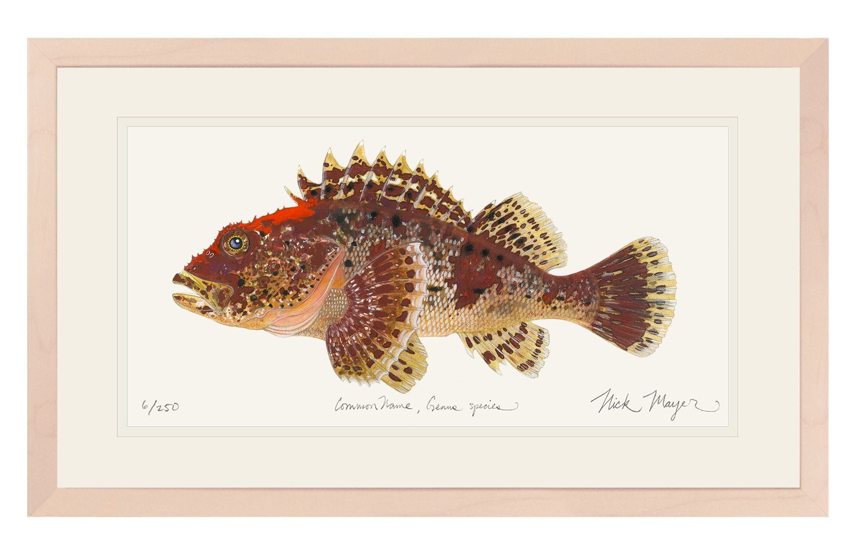 Scorpionfish Limited Edition Print