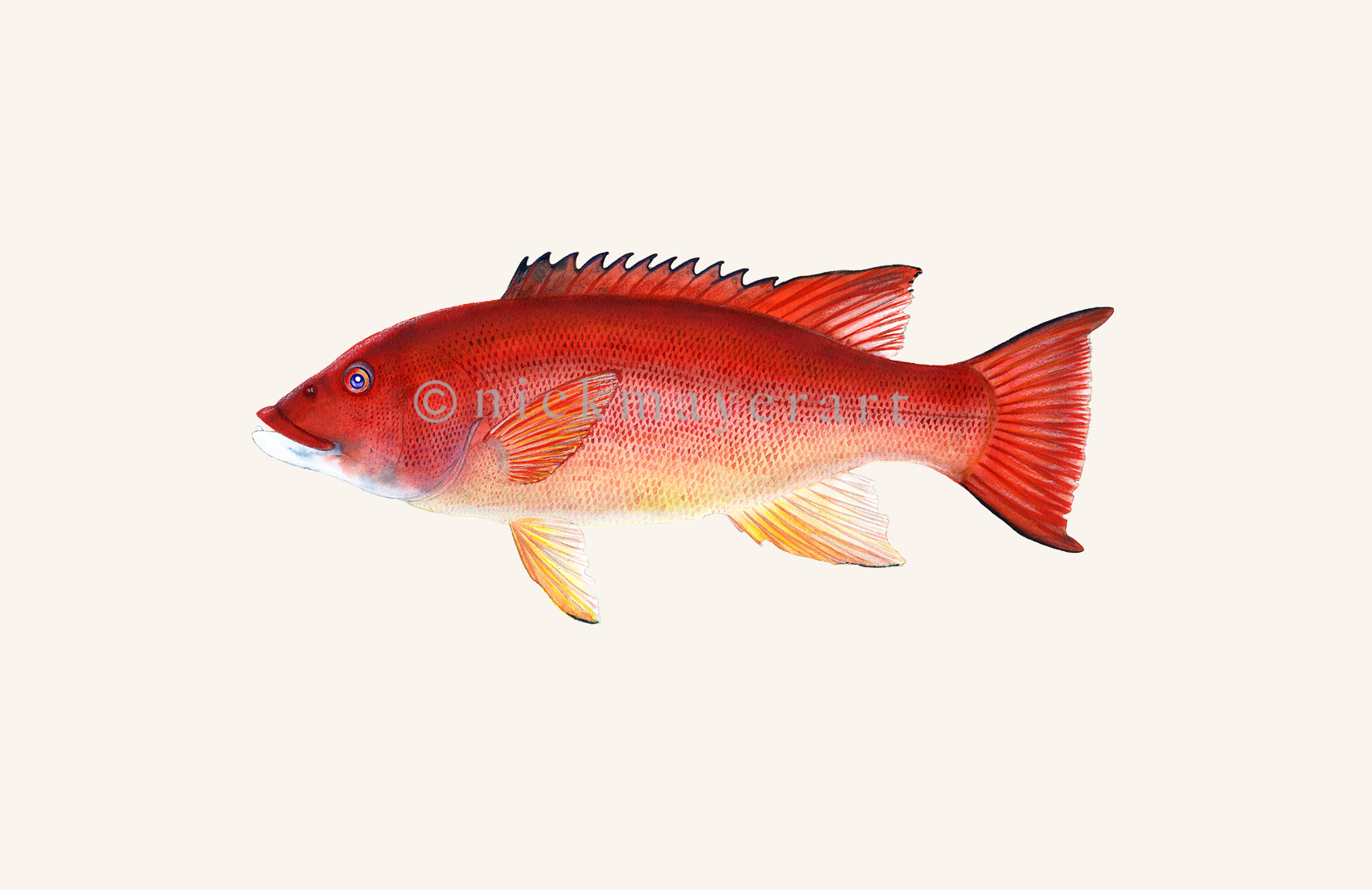 watermark