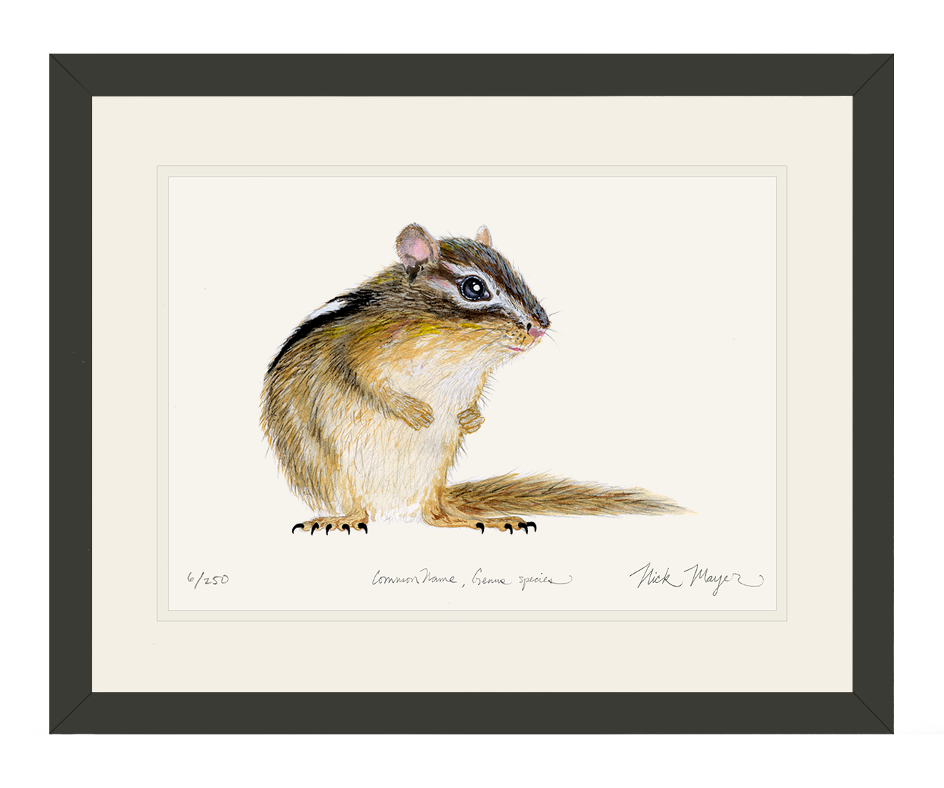Chipmunk Print