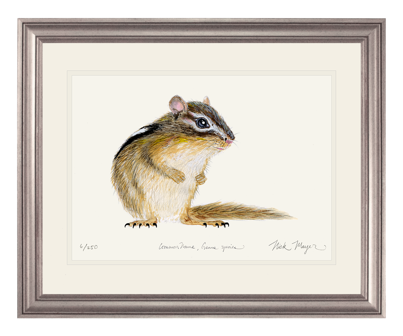 Chipmunk Print